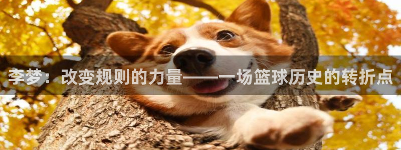 李梦：改变规则的力量——一场篮球历史的转折点