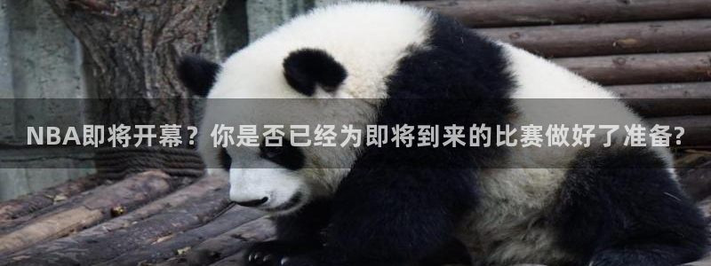 NBA即将开幕？你是否已经为即将到来的比赛做好了准备?
