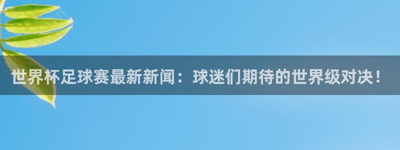 世界杯足球赛最新新闻：球迷们期待的世界级对决！