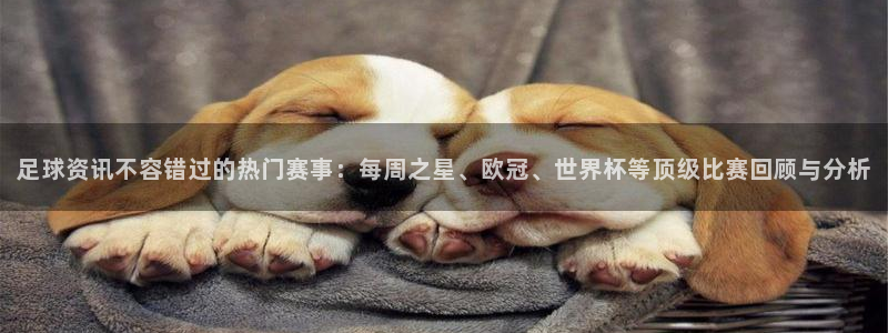 足球资讯不容错过的热门赛事：每周之星、欧冠、世界杯等顶级比赛回顾与分析