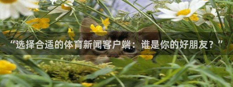 “选择合适的体育新闻客户端：谁是你的好朋友？”