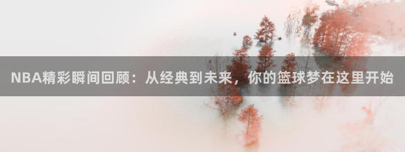NBA精彩瞬间回顾：从经典到未来，你的篮球梦在这里开始