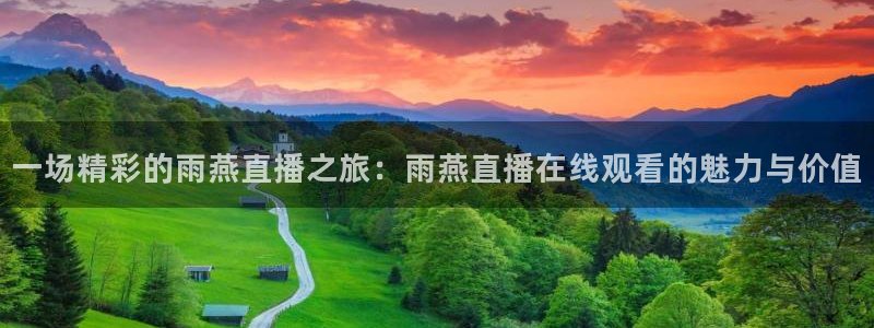 一场精彩的雨燕直播之旅：雨燕直播在线观看的魅力与价值