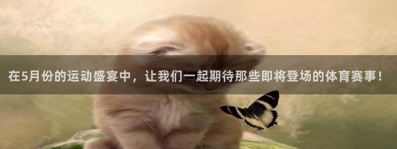 在5月份的运动盛宴中，让我们一起期待那些即将登场的体育赛事！