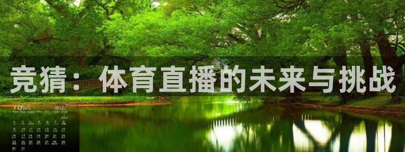 竞猜：体育直播的未来与挑战