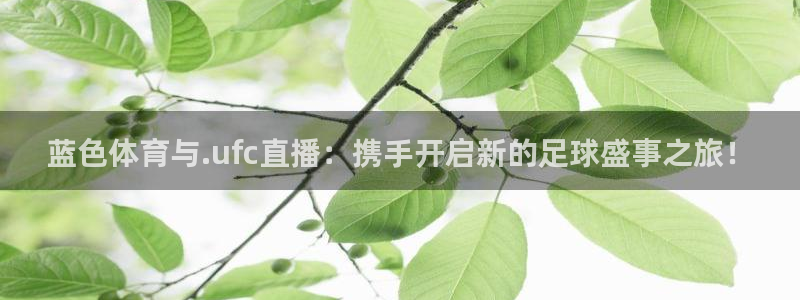蓝色体育与.ufc直播：携手开启新的足球盛事之旅！