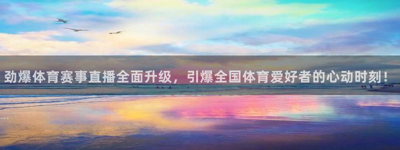 劲爆体育赛事直播全面升级，引爆全国体育爱好者的心动时刻！