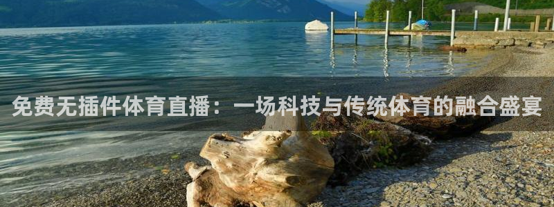 免费无插件体育直播：一场科技与传统体育的融合盛宴