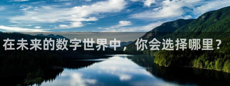 在未来的数字世界中，你会选择哪里？
