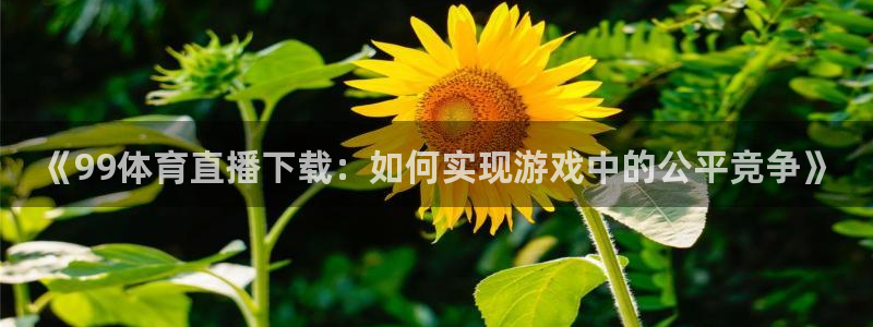 《99体育直播下载：如何实现游戏中的公平竞争》