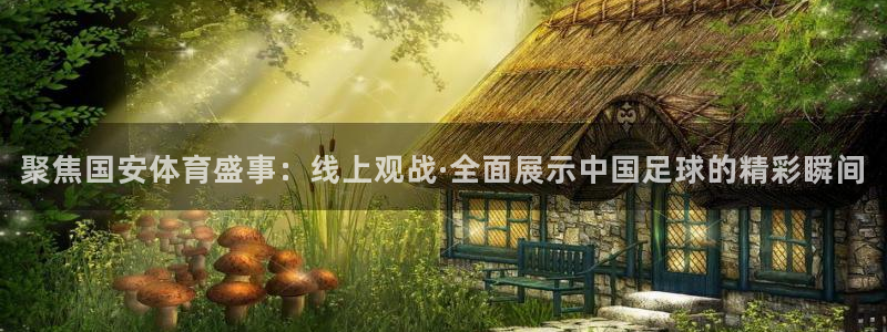 聚焦国安体育盛事：线上观战·全面展示中国足球的精彩瞬间