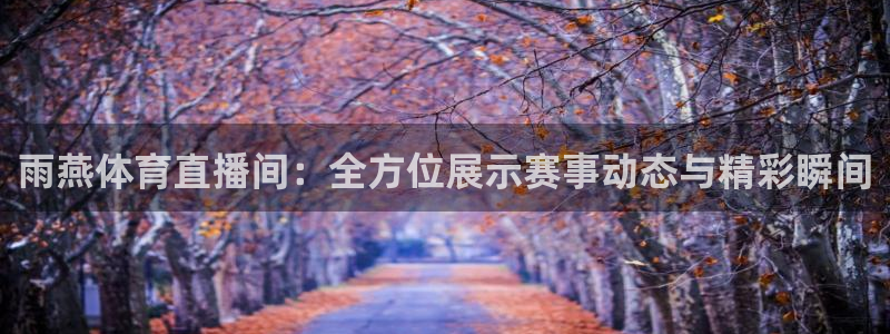 雨燕体育直播间：全方位展示赛事动态与精彩瞬间
