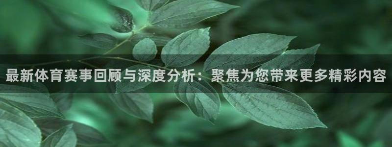 最新体育赛事回顾与深度分析：聚焦为您带来更多精彩内容