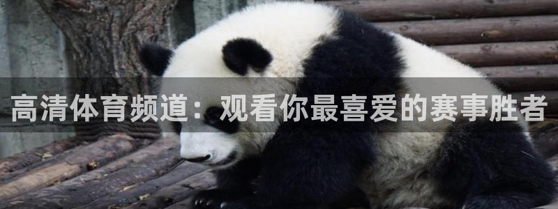 高清体育频道：观看你最喜爱的赛事胜者