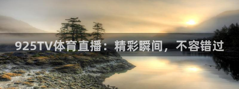925TV体育直播：精彩瞬间，不容错过