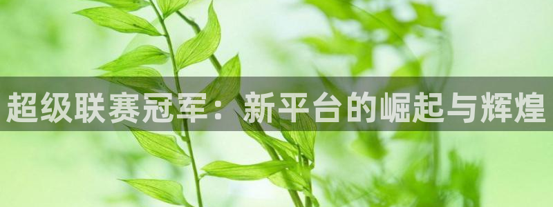 超级联赛冠军：新平台的崛起与辉煌