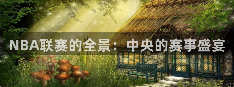 NBA联赛的全景：中央的赛事盛宴