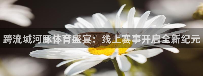 跨流域河豚体育盛宴：线上赛事开启全新纪元