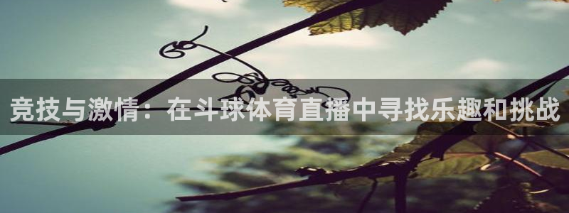 竞技与激情：在斗球体育直播中寻找乐趣和挑战