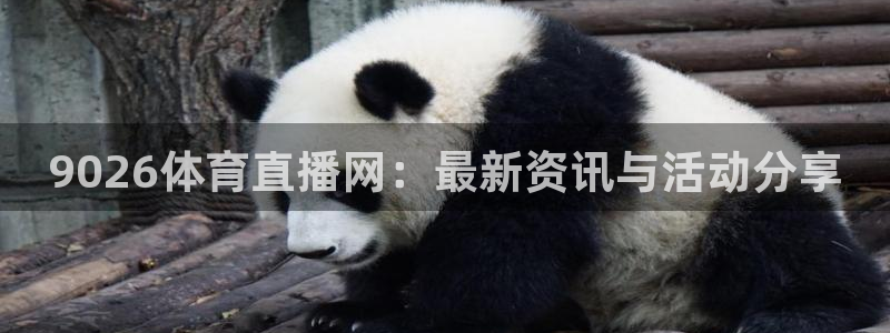 9026体育直播网：最新资讯与活动分享