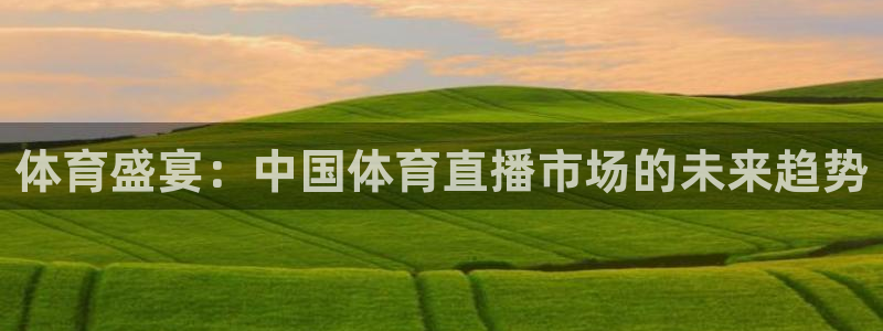 体育盛宴：中国体育直播市场的未来趋势