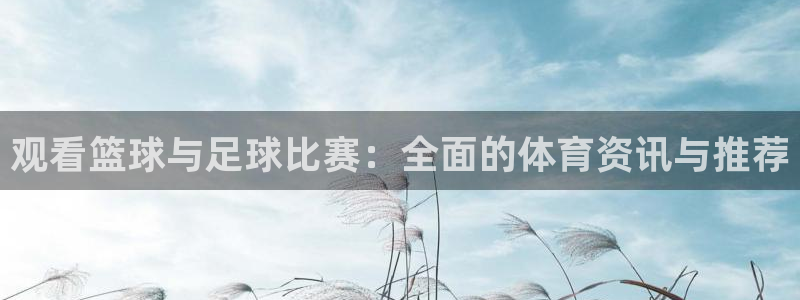 观看篮球与足球比赛：全面的体育资讯与推荐
