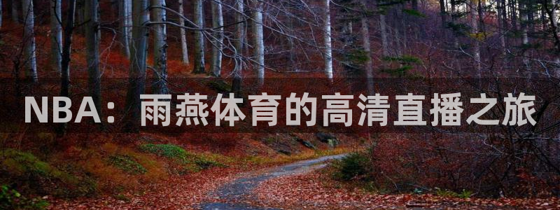 NBA：雨燕体育的高清直播之旅