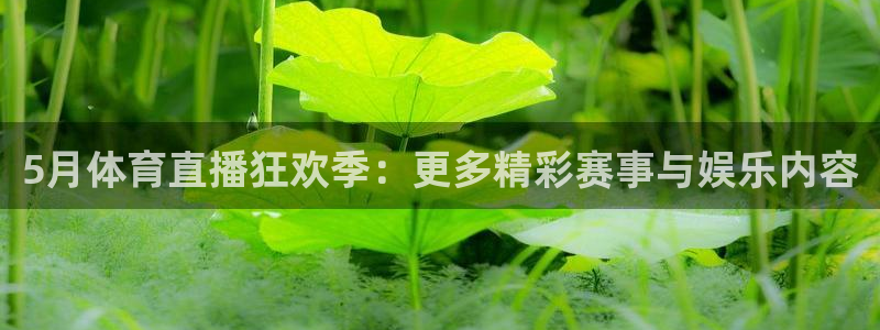 5月体育直播狂欢季：更多精彩赛事与娱乐内容