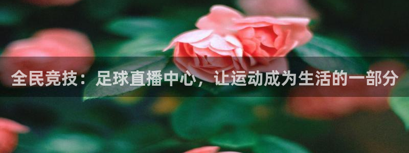 全民竞技：足球直播中心，让运动成为生活的一部分