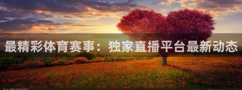 最精彩体育赛事：独家直播平台最新动态