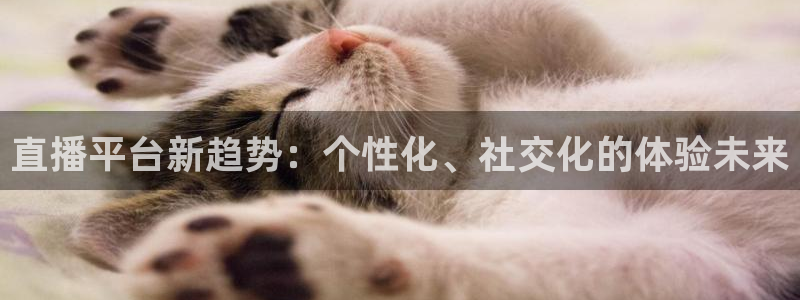 直播平台新趋势：个性化、社交化的体验未来