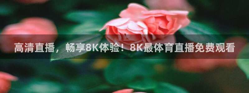 高清直播，畅享8K体验！8K最体育直播免费观看