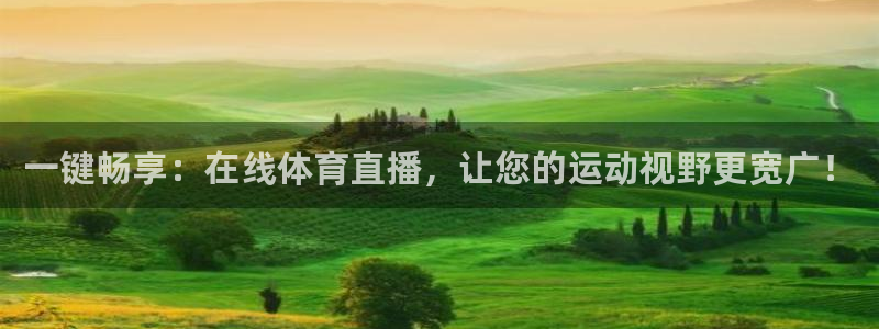 一键畅享：在线体育直播，让您的运动视野更宽广！