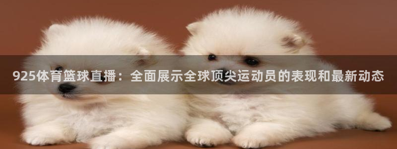 925体育篮球直播：全面展示全球顶尖运动员的表现和最新动态