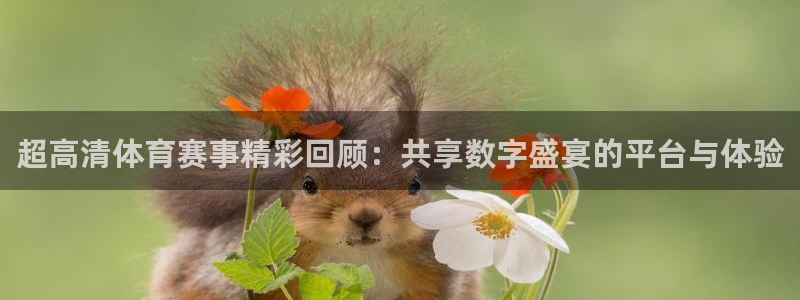 超高清体育赛事精彩回顾：共享数字盛宴的平台与体验