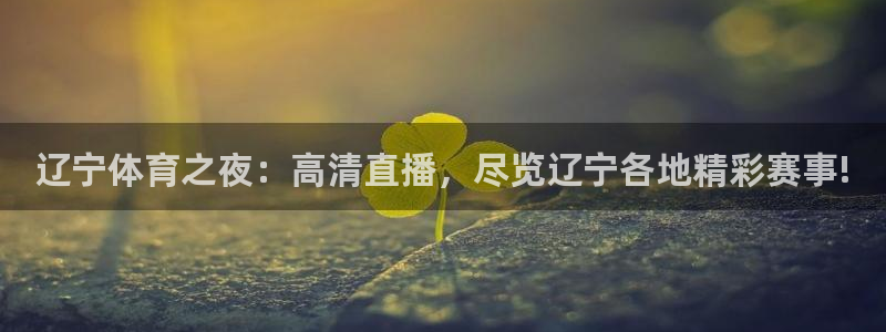 辽宁体育之夜：高清直播，尽览辽宁各地精彩赛事!