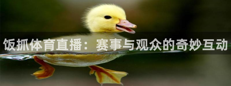 饭抓体育直播：赛事与观众的奇妙互动
