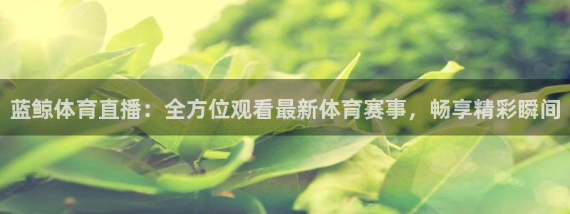 蓝鲸体育直播：全方位观看最新体育赛事，畅享精彩瞬间