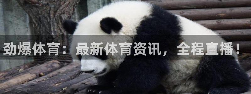 劲爆体育：最新体育资讯，全程直播！