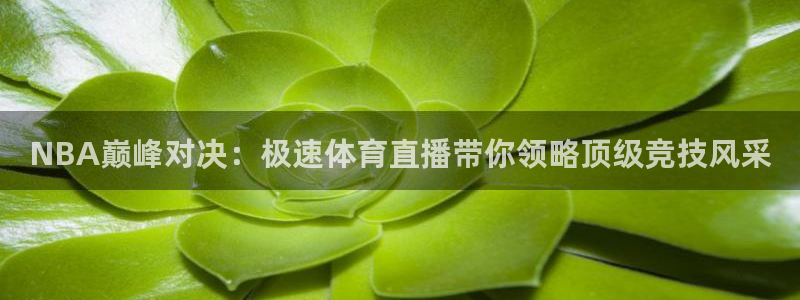 NBA巅峰对决：极速体育直播带你领略顶级竞技风采