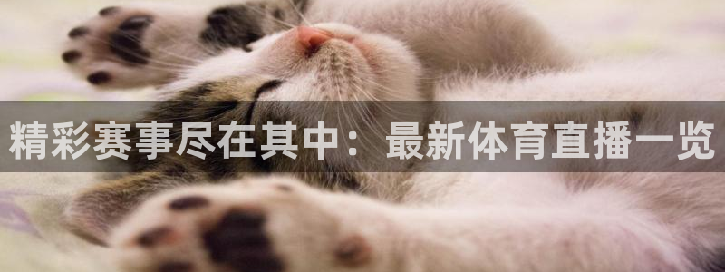 精彩赛事尽在其中：最新体育直播一览