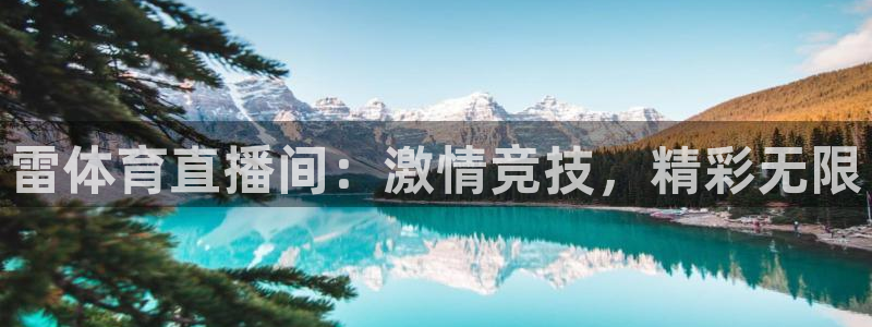 雷体育直播间：激情竞技，精彩无限
