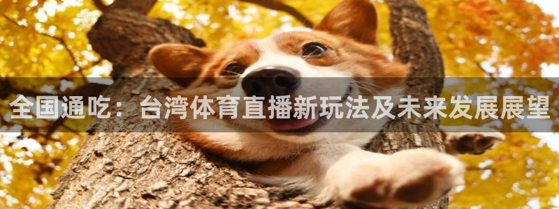全国通吃：台湾体育直播新玩法及未来发展展望
