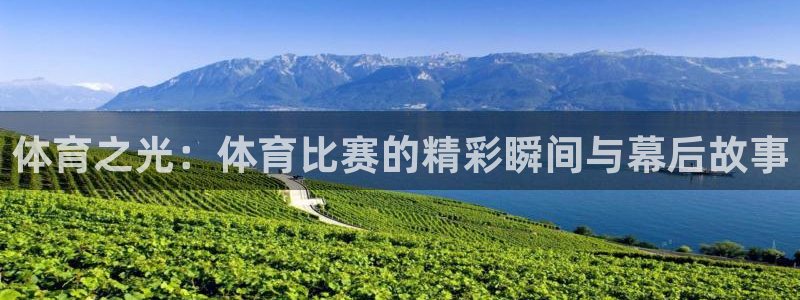 体育之光：体育比赛的精彩瞬间与幕后故事