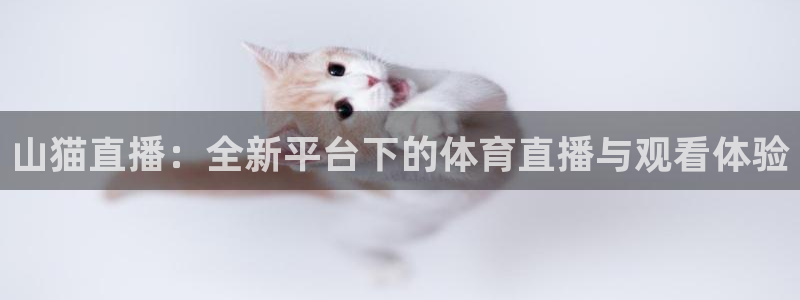 山猫直播：全新平台下的体育直播与观看体验