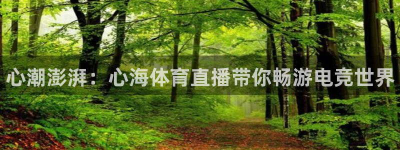 心潮澎湃：心海体育直播带你畅游电竞世界