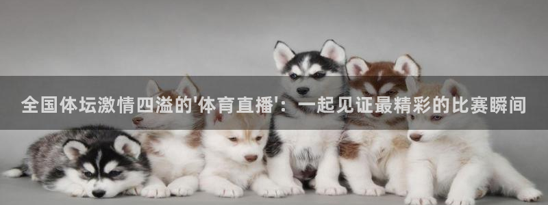 全国体坛激情四溢的\'体育直播\'：一起见证最精彩的比赛瞬间