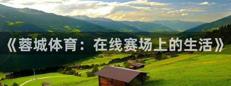 《蓉城体育：在线赛场上的生活》