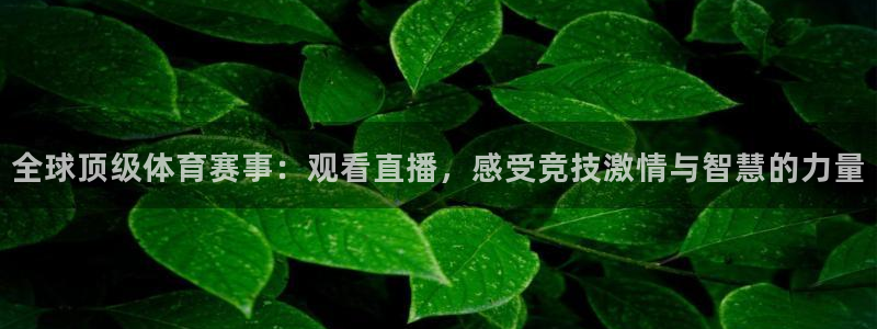 全球顶级体育赛事：观看直播，感受竞技激情与智慧的力量