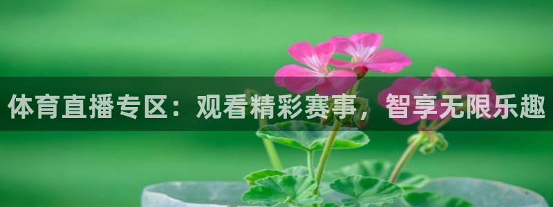 体育直播专区：观看精彩赛事，智享无限乐趣